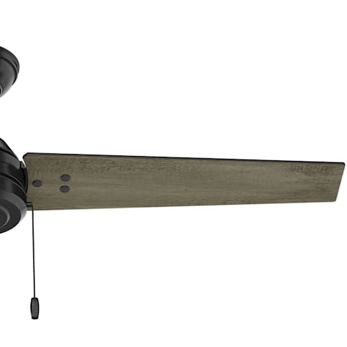 Hunter Colby 52 Matte Black Outdoor Ceiling Fan Shelly Lighting