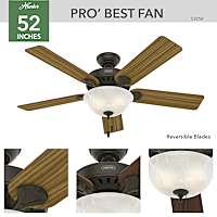Pro's Best with Light 52 inch