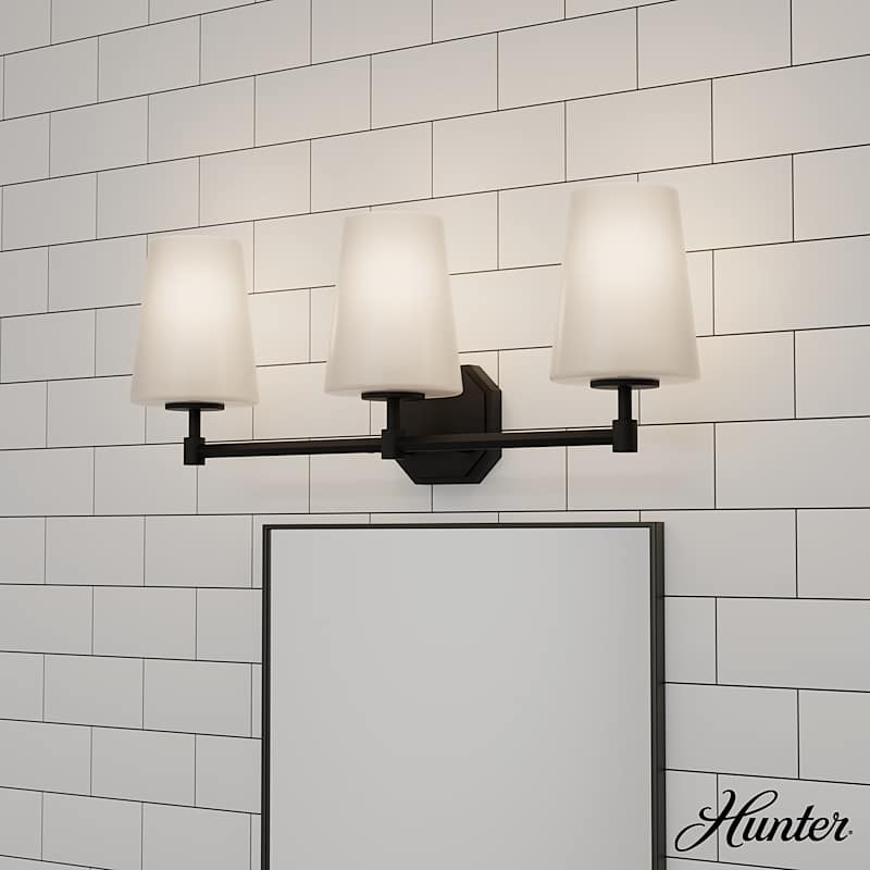 Vanity light with fan new arrivals