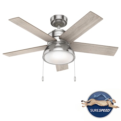 Hunter Fan 36 in Contemporary Brushed Nickel Ceiling Fan w Light and Pull Chain 
