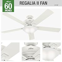 60 inch Regalia II with LED light