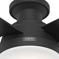 HUNTER×HUNTER Hunter X Hunter: Wonder Adventure (2012) | IGDB.com