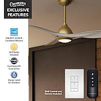 Elise Outdoor ENERGY STAR DC with LED Light 54 inch with remote and wall control