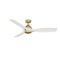 Elise Outdoor ENERGY STAR DC with LED Light 54 inch with remote and wall control