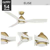 Elise Outdoor ENERGY STAR DC with LED Light 54 inch with remote and wall control