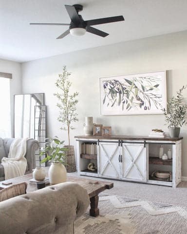 Aerodyne in living room