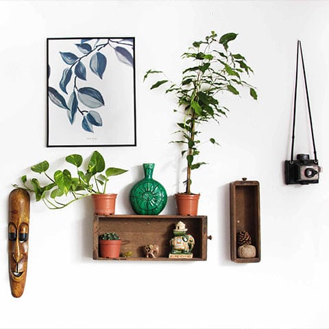 Bohemian styled wall art hanging against a white wall. A picture of leaves hanging on the top left with a shelf beneath it with little knick-knacks inside.