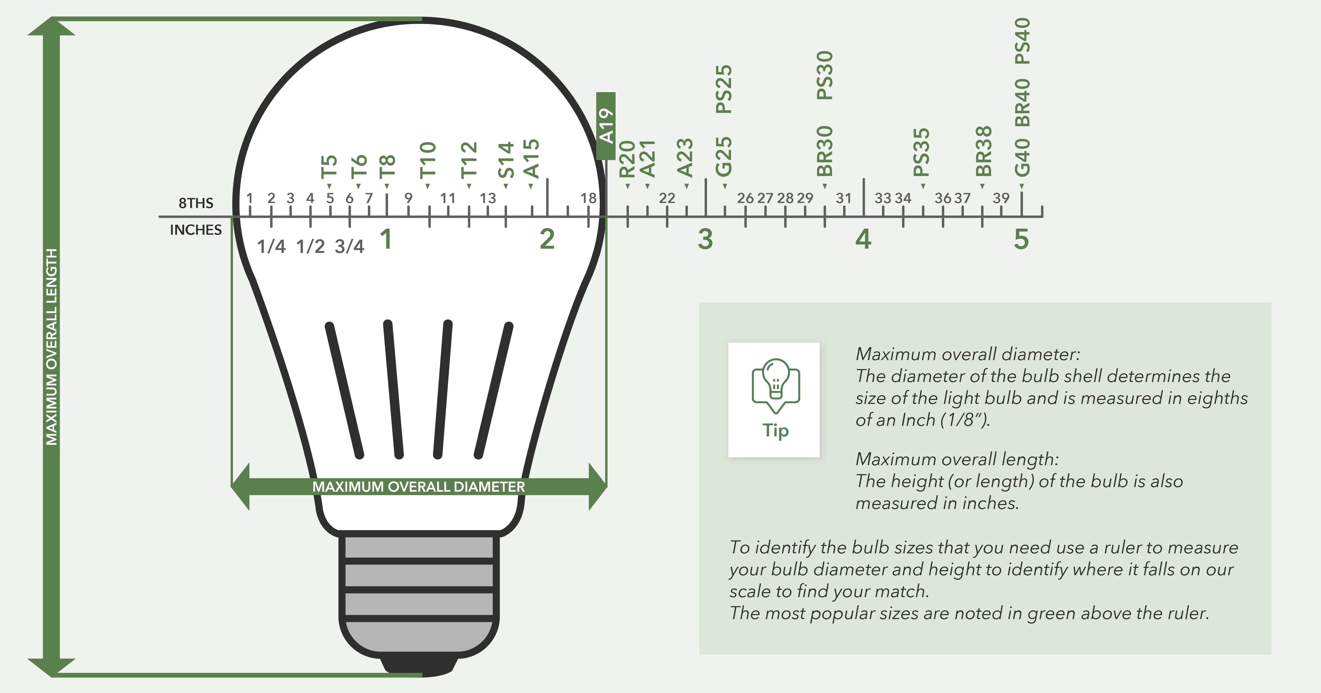 Bulb Size Graphic