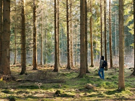 Man walking outdoors in woods with tall trees in Memphis Tennessee