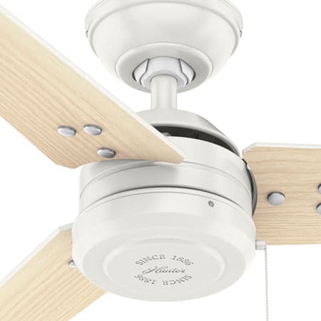 Cassius Outdoor fan in Fresh White.