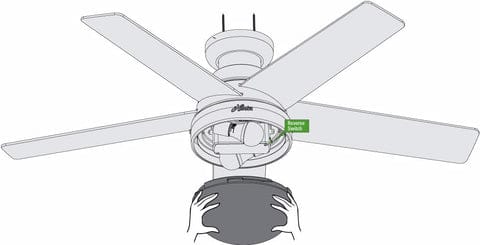 Reverse fans