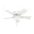 Conroy Low Profile with Light 42 inch Ceiling Fans Hunter Snow White - Snow White 