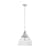 Cypress Grove 1 Light Pendant 16 inch Lighting Hunter Brushed Nickel - Clear Holophane 
