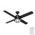 Searow Outdoor with LED Light 54 inch Ceiling Fans Hunter Matte Black - Matte Black 