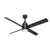 Trak Outdoor with light 72 inches 110V Ceiling Fans Hunter Black - Black 