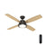 Wingate with Light 52 inch Ceiling Fans Hunter Noble Bronze - Drifted Oak 