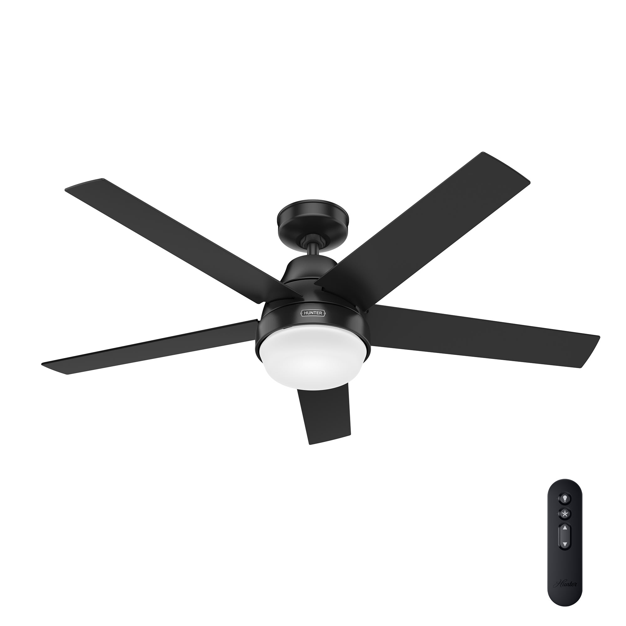 Fans with Remote