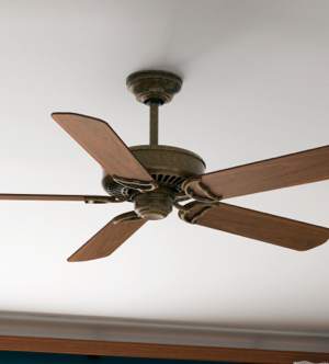 Ceiling Fan without Light