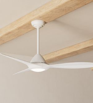 Ceiling Fan with Light