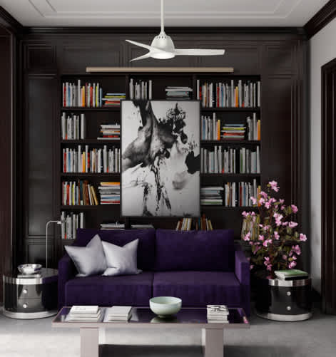 Contemporary | Modern Ceiling Fan